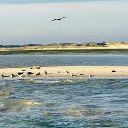 Lüttje Mima Im Haus Abert Apartment *