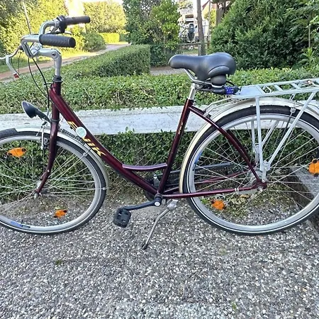 Lüttje Mima Im Haus Abert Apartment Baltrum