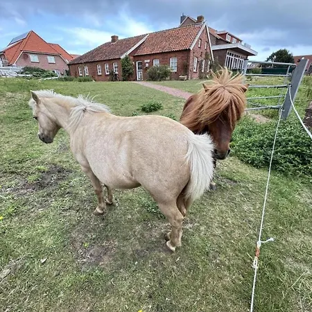 Luettje Mima Im Haus Abert