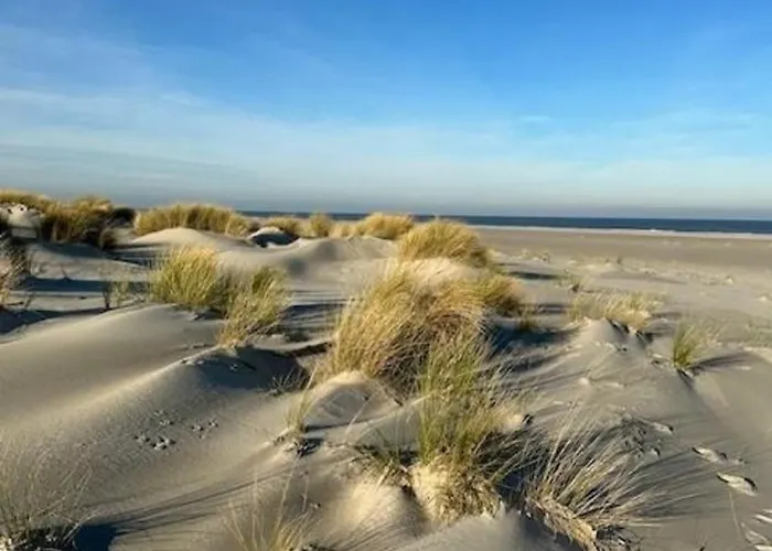 Luettje Mima Im Haus Abert Baltrum