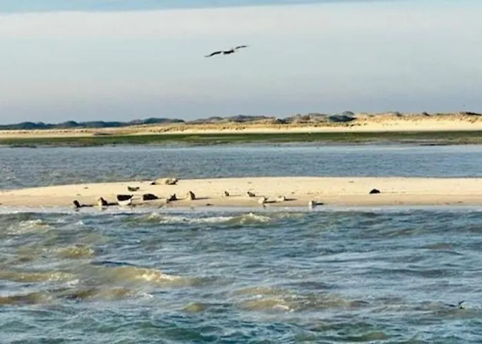 Luettje Mima Im Haus Abert Διαμέρισμα *