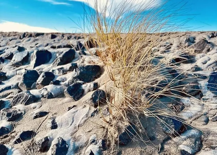 Διαμέρισμα Luettje Mima Im Haus Abert