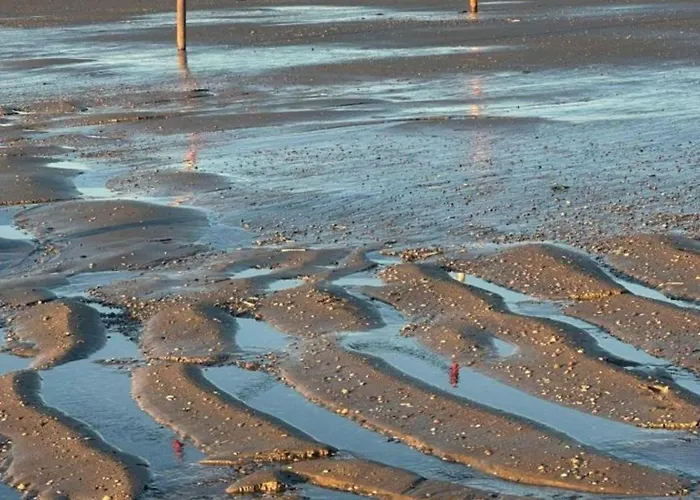 Luettje Mima Im Haus Abert Διαμέρισμα Baltrum