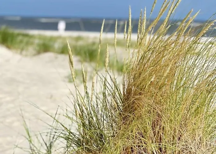 Luettje Mima Im Haus Abert * Baltrum