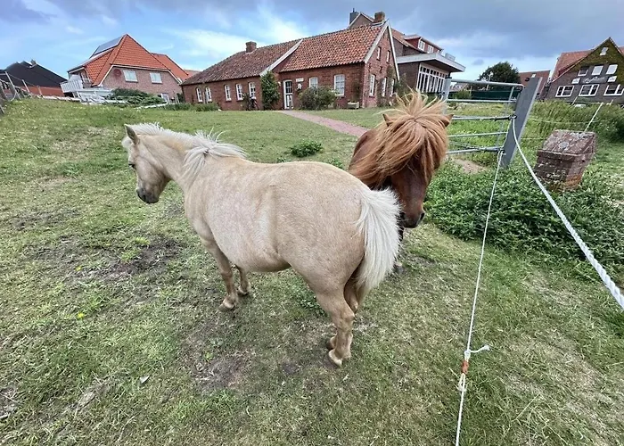 Luettje Mima Im Haus Abert